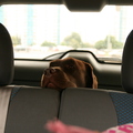 allstate car insurance